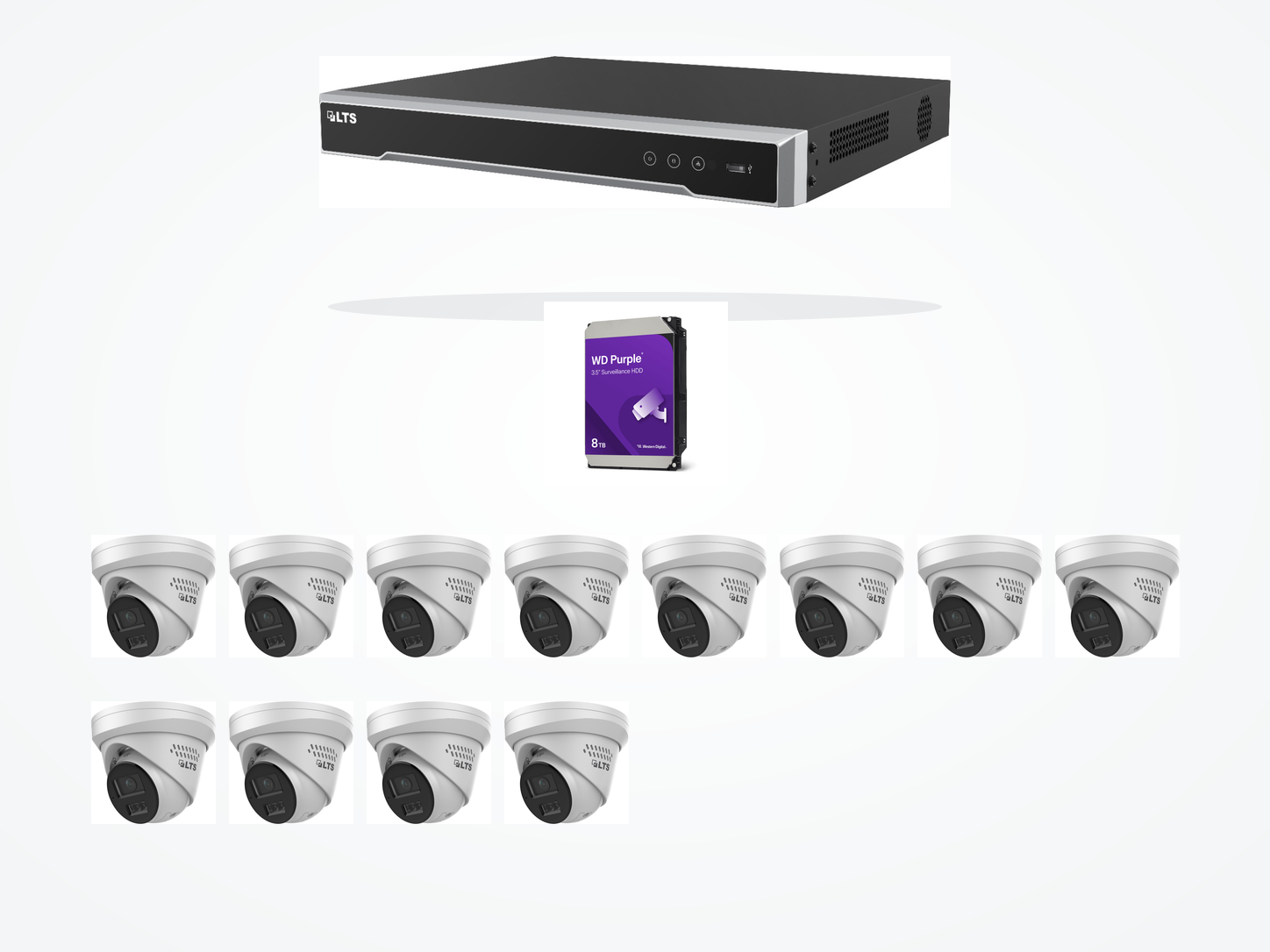 One LTS sixteen-channel PoE recorder, one 8TB WD Purple surveillance drive, and twelve LTS 4MP active-deterrence turret cameras on a clean white background