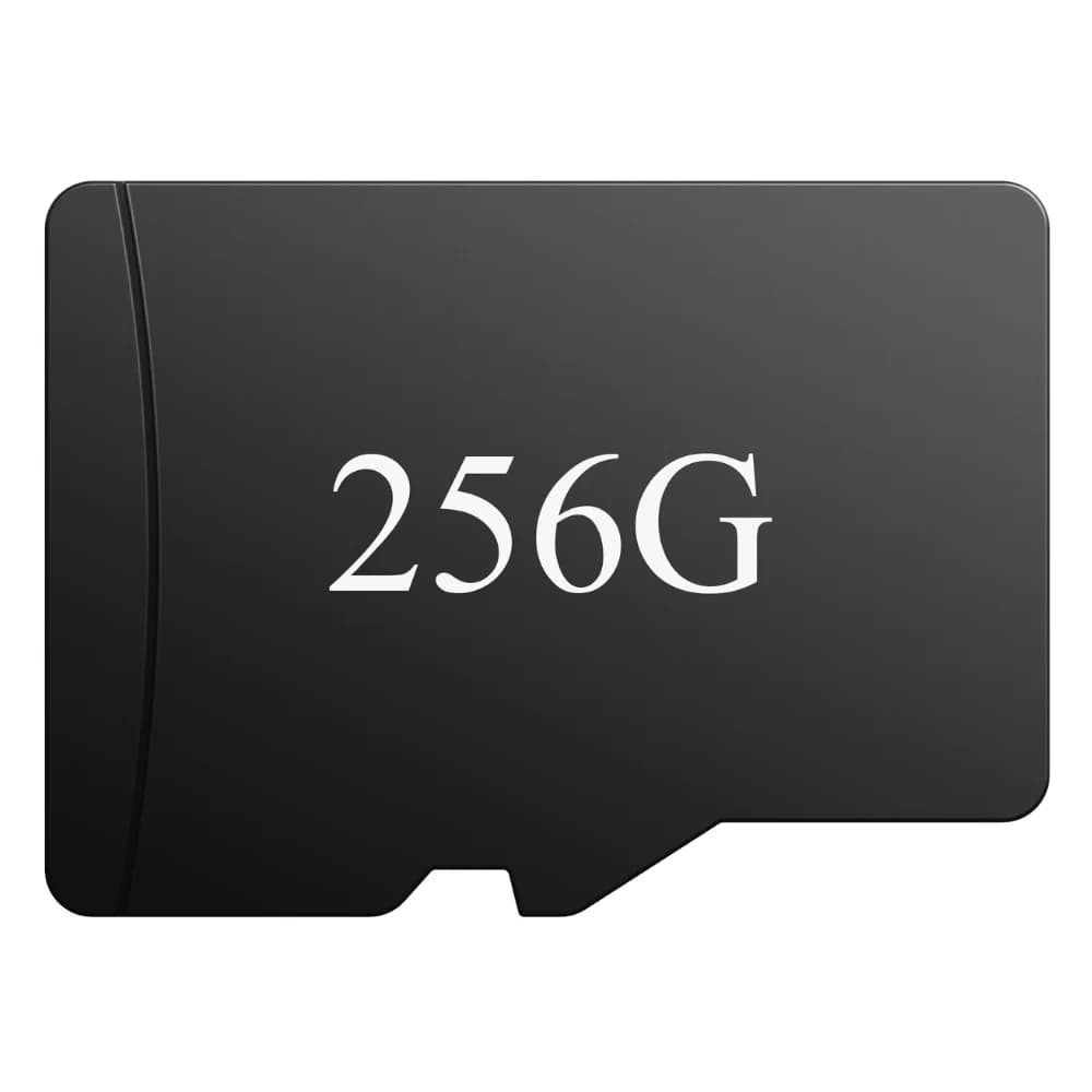 Add $19.99 to get a 256GB Memory Card Local Storage