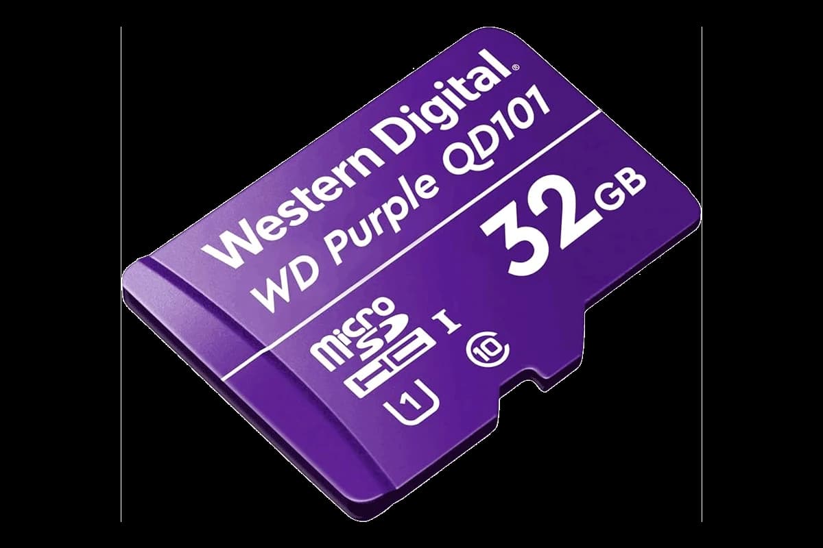 32GB microSD Card (Surveillance Grade)