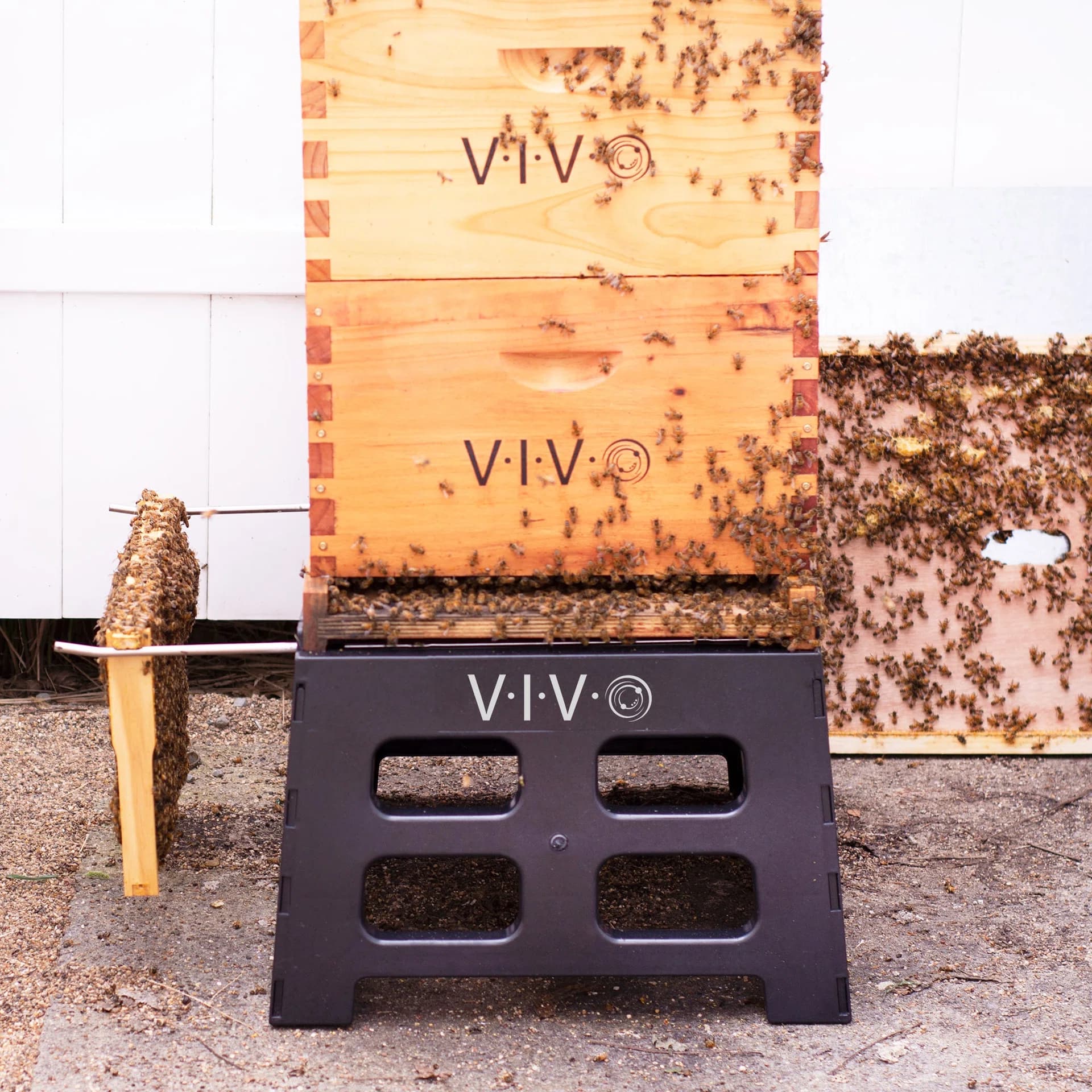 Black Plastic Beehive Stand