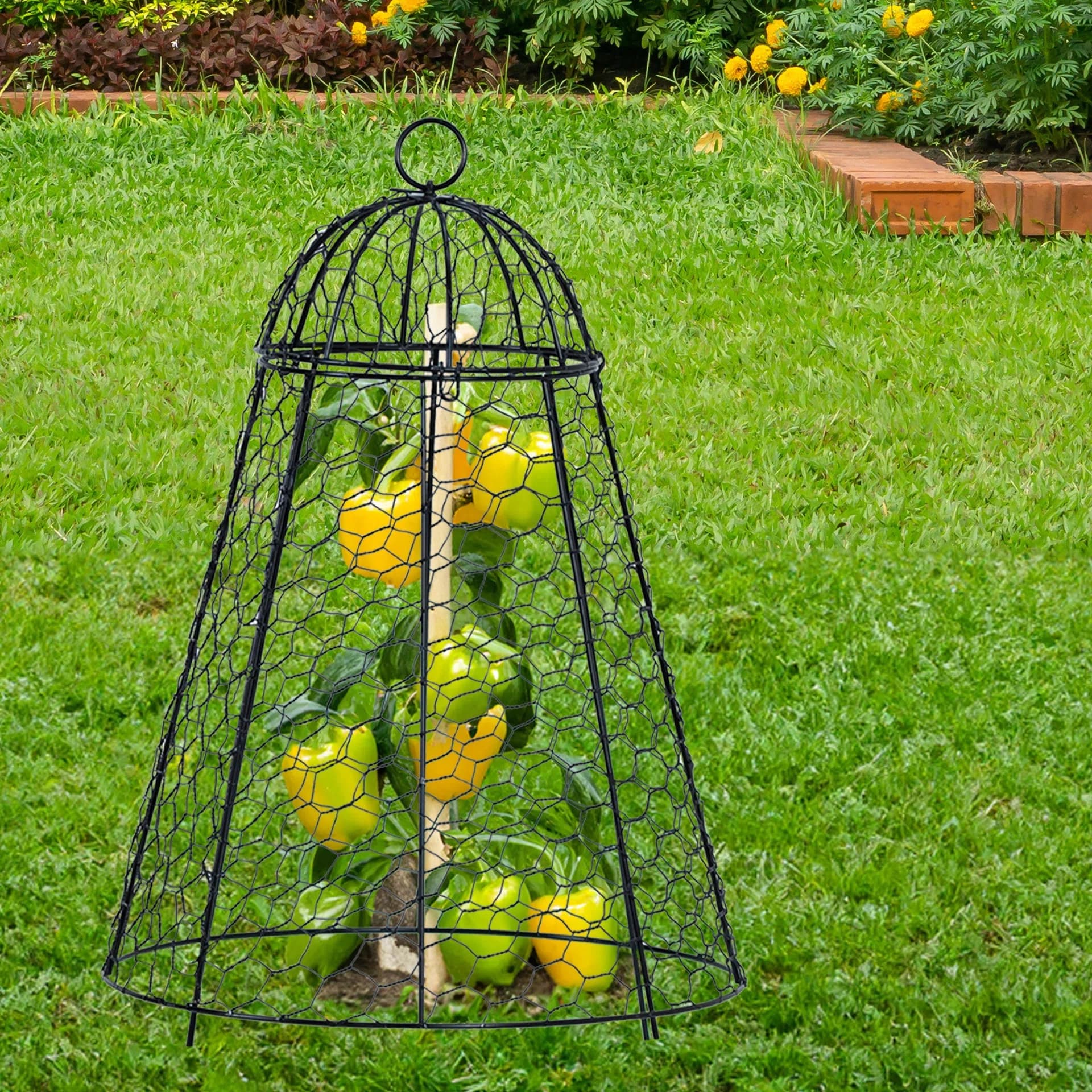 Life Finds by VIVO Chicken Wire Garden Cloche Set (x6)