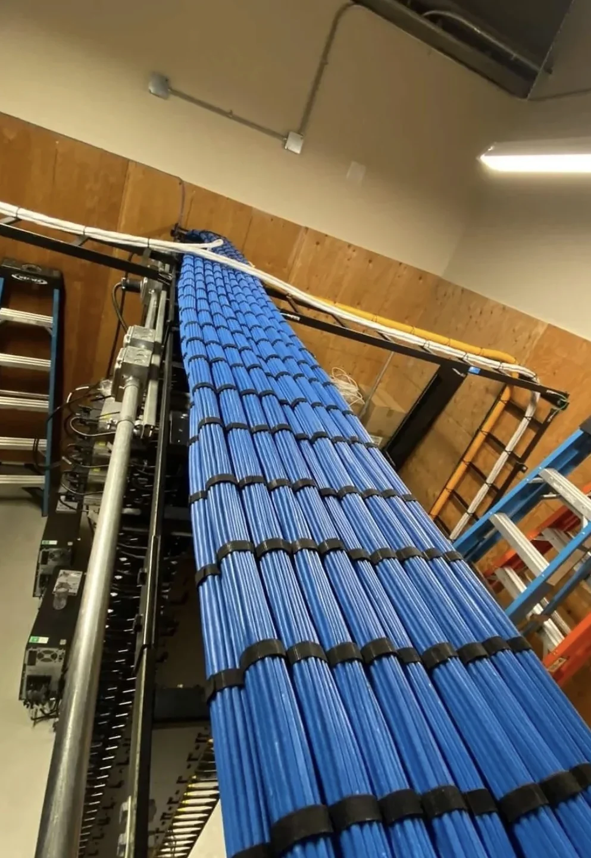 Organized blue structured cabling rising into an overhead pathway