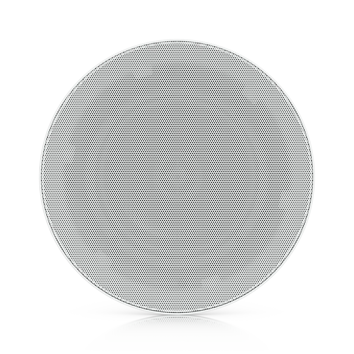In-Ceiling Speaker