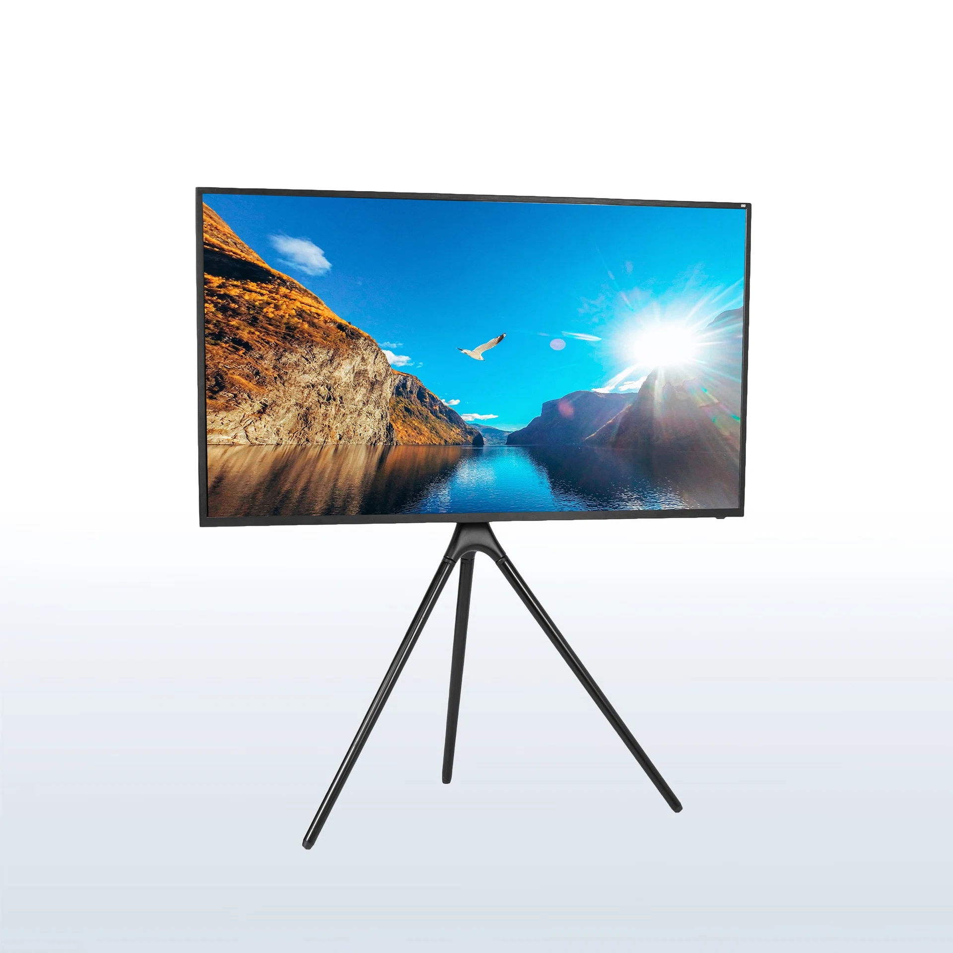 TV Easel Stand - 45" to 65" Screens