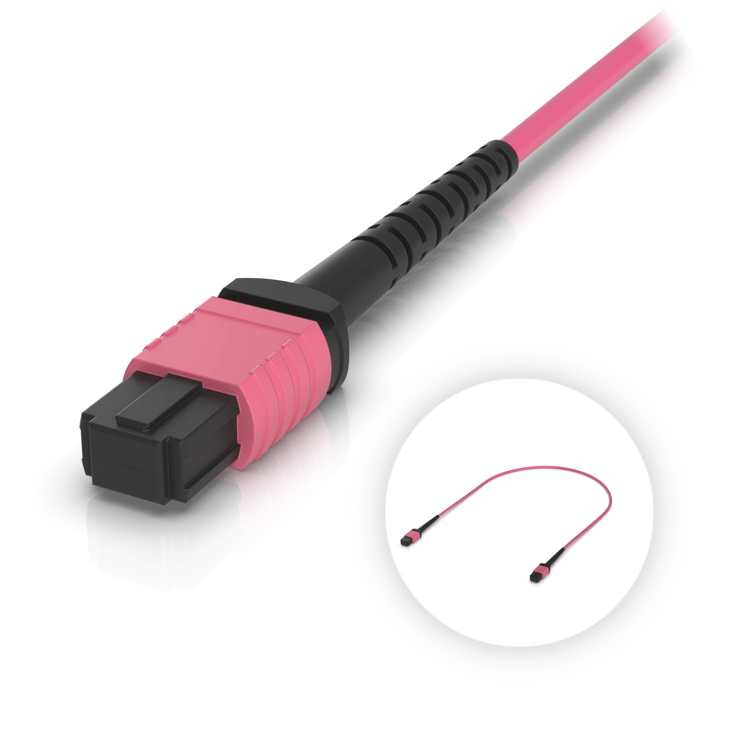 OM4 MPO-12 UPC Fiber Patch Cable