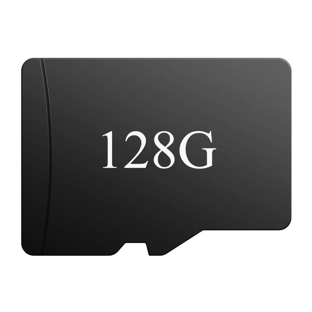 Add $19.99 to get a 256GB Memory Card Local Storage